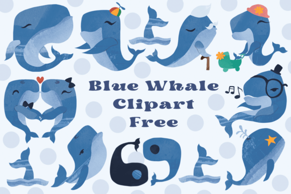 Blue Whale Clipart Free: A Designer’s Honest Take